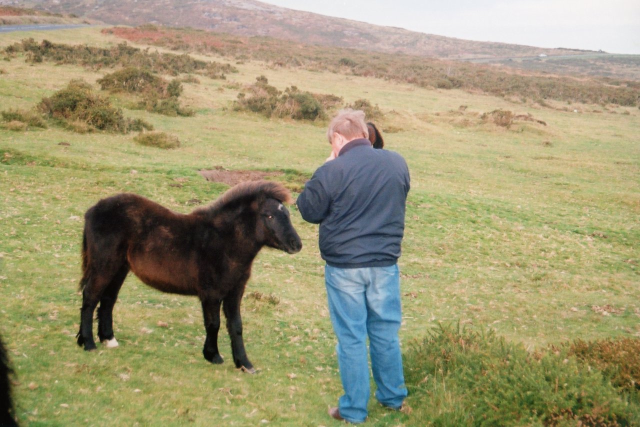 A and M on Dartmoor with ponies 2